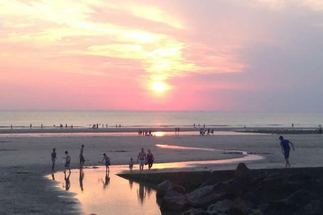 Le Charme Daire Wimereux Dış mekan fotoğraf